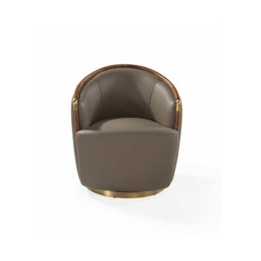 Arm Chair - Furniture